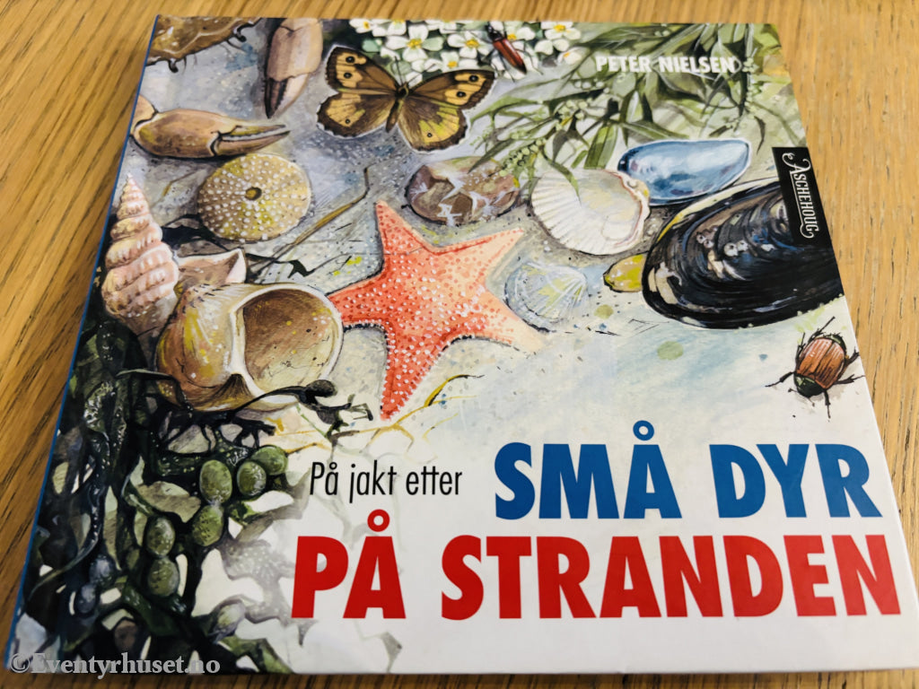 Peter Nielsen. På jakt etter små dyr på stranden. Bok.