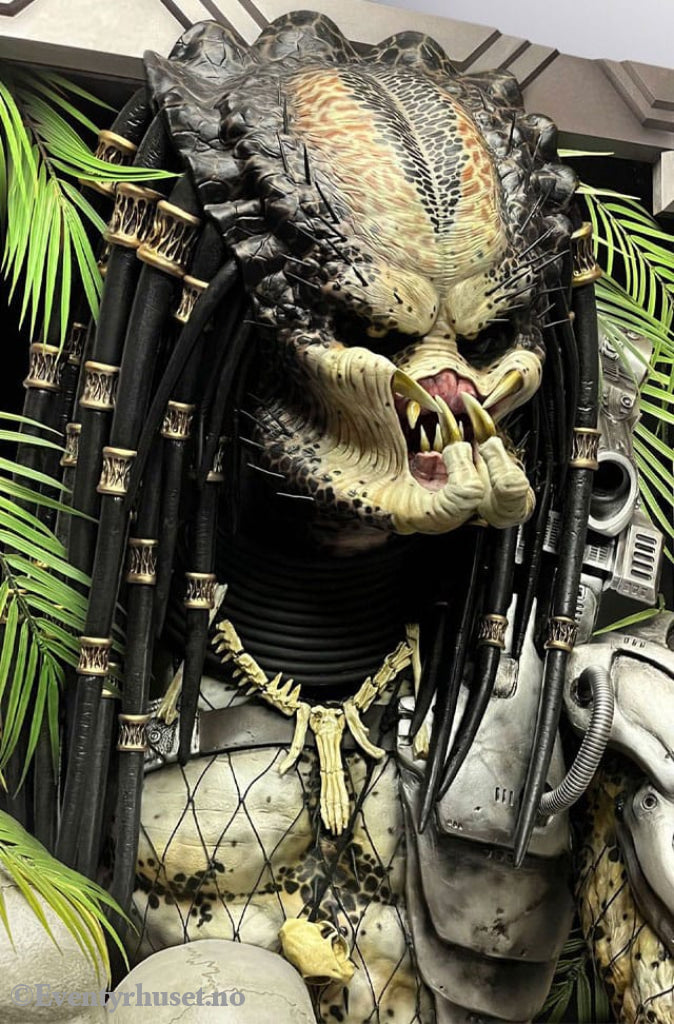 Predator Life-Size Wall Sculpture Predator 45 x 81 x 94 cm Collectibles