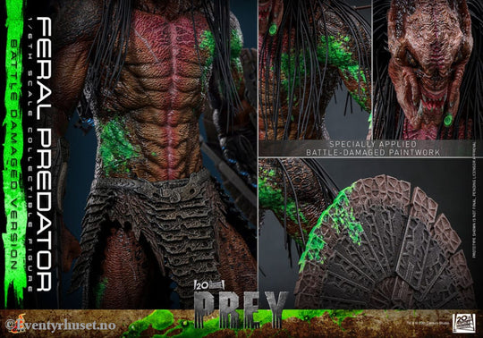 Prey Action Figure 1/6 Feral Predator (Battle Damaged Version) 37 cm Toys
