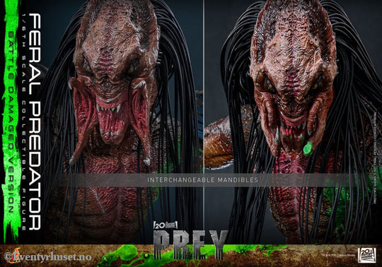 Prey Action Figure 1/6 Feral Predator (Battle Damaged Version) 37 cm Toys