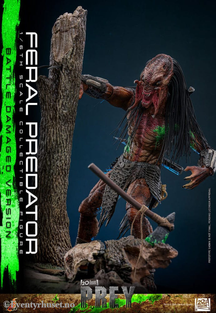 Prey Action Figure 1/6 Feral Predator (Battle Damaged Version) 37 cm Toys