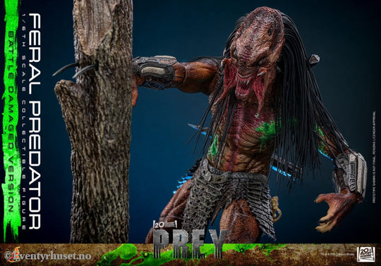 Prey Action Figure 1/6 Feral Predator (Battle Damaged Version) 37 cm Toys