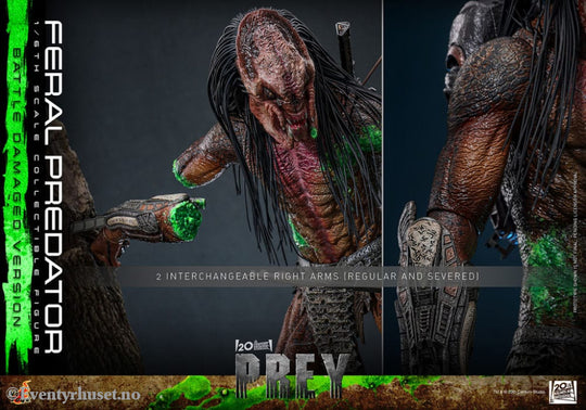 Prey Action Figure 1/6 Feral Predator (Battle Damaged Version) 37 cm Toys
