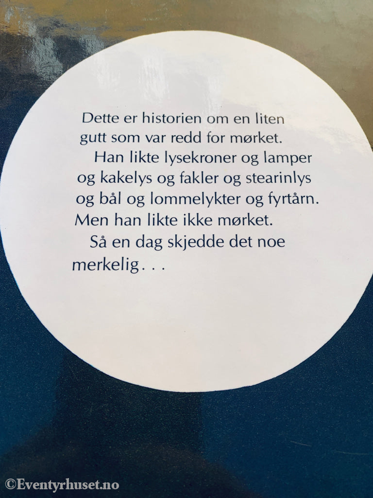 Ray Bradbury: Gutten som var redd for mørket. Barnebok.