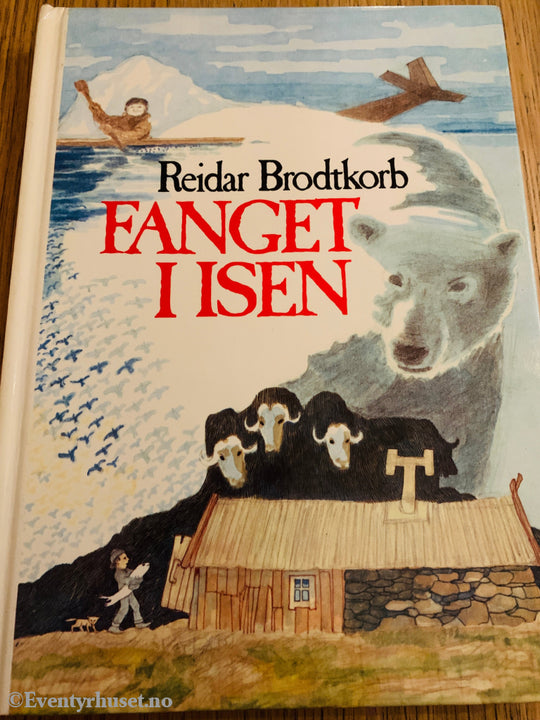 Reidar Brodtkorb. 1978. Fanget i isen. Bok.