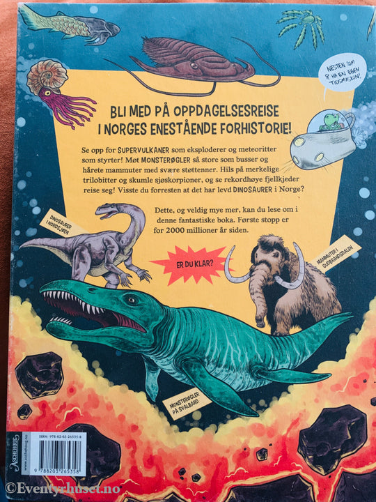 Reidar Müller og Sigbjørn Lilleeng. Supervulkaner og digre dinosaurer. 2019. Bok.