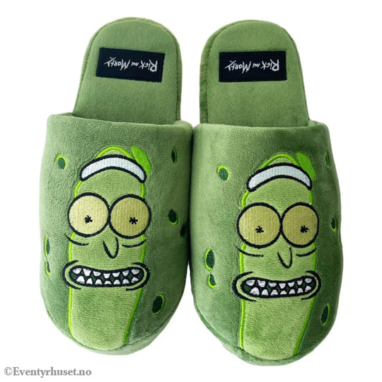 Rick & Morty Slippers Pickle Rick EU 42-45 Fashion & Accessories