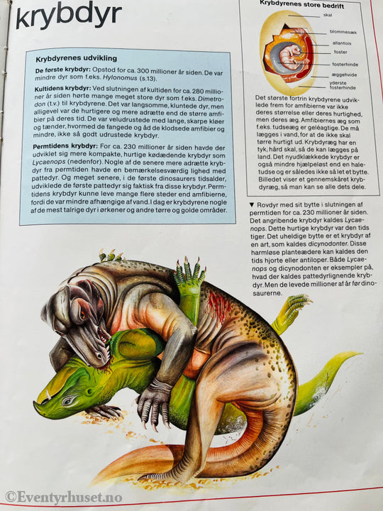 Ron Taylor. 1981/89. Dinosaurer. Fortelling