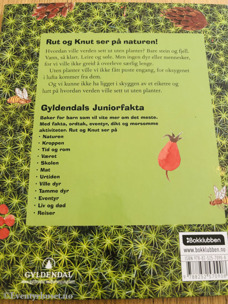 Gyldendal forlag, 2005, Rut og Knut ser på naturen: Kongler og grønt gress. Bok Walt Disney Home Video