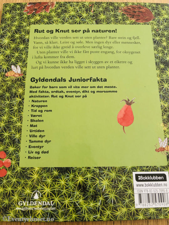 Gyldendal forlag, 2005, Rut og Knut ser på naturen: Kongler og grønt gress. Bok Walt Disney Home Video