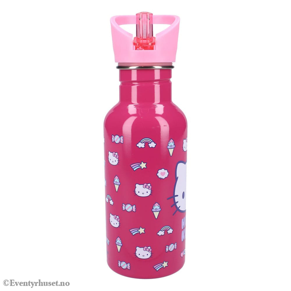 Sanrio Water Bottle Hello Kitty Take A Sip Home & Gifts