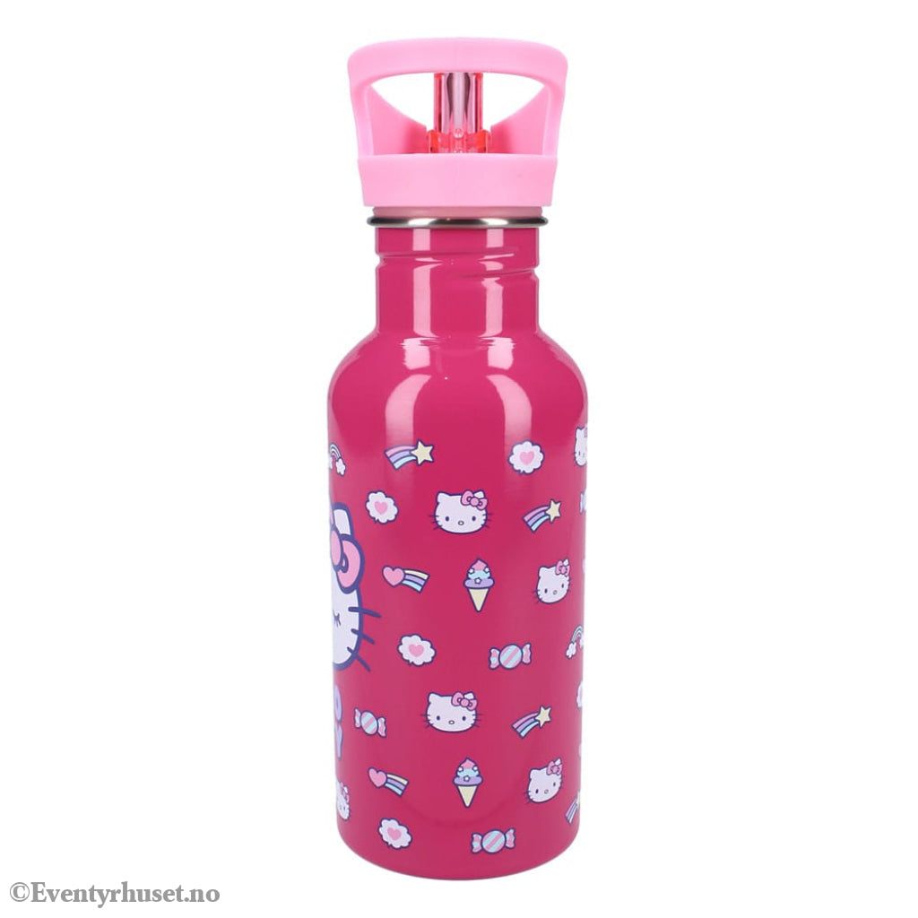Sanrio Water Bottle Hello Kitty Take A Sip Home & Gifts