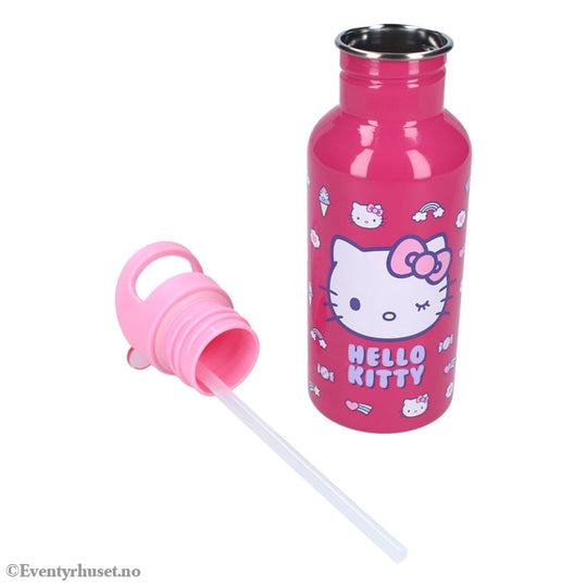 Sanrio Water Bottle Hello Kitty Take A Sip Home & Gifts