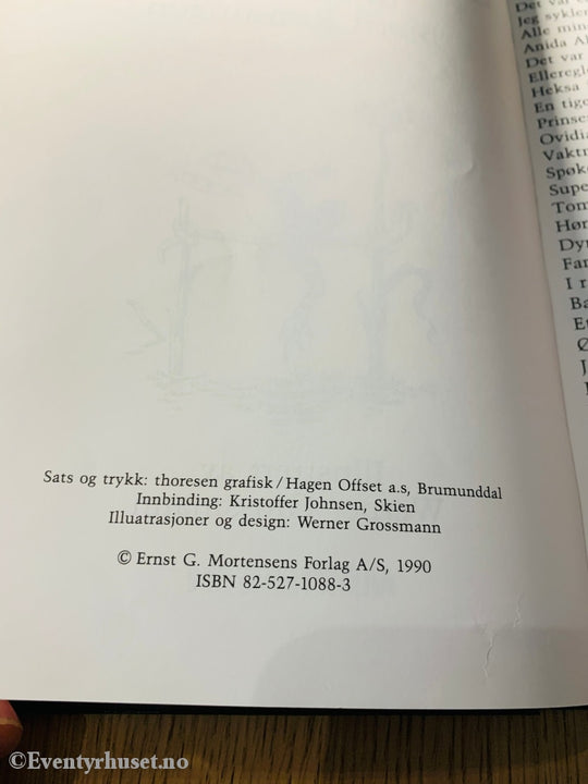 Signert! Bjørn Rønningen & Werner Grossmann. 1990. Allikke Skalikke. Fortelling