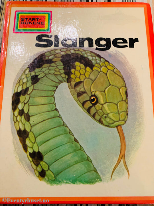 Slanger (Start-Bøkene). 1973/76. Fortelling