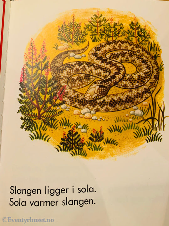 Slanger (Start-Bøkene). 1973/76. Fortelling