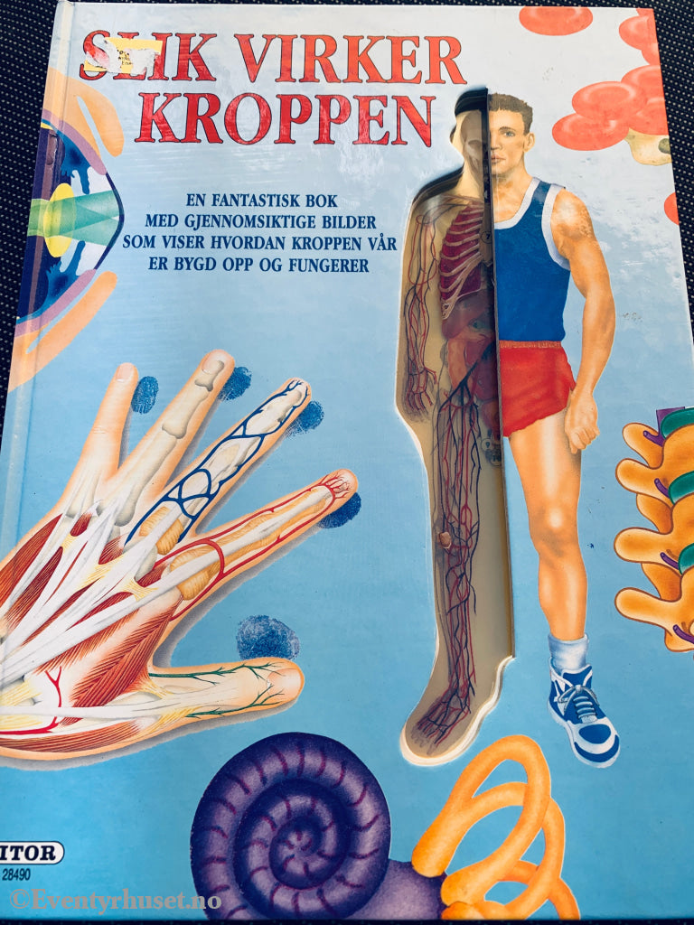 Slik virker kroppen. Barnebok.
