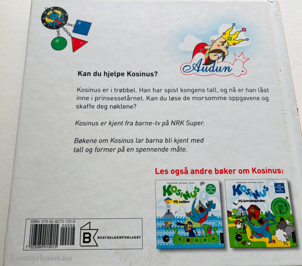 Solveig Hareide, Kari Hansen og Tina Soli. Kosinus på slottet. 2008. Barnebok.