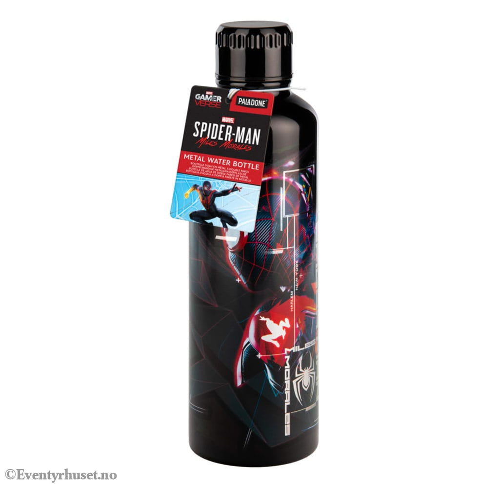 Spider-Man Metal Water Bottle Home & Gifts