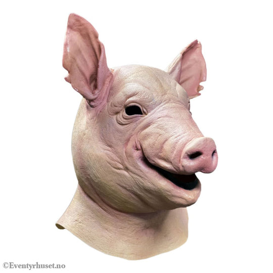 Spiral Mask Pig Fashion & Accessories