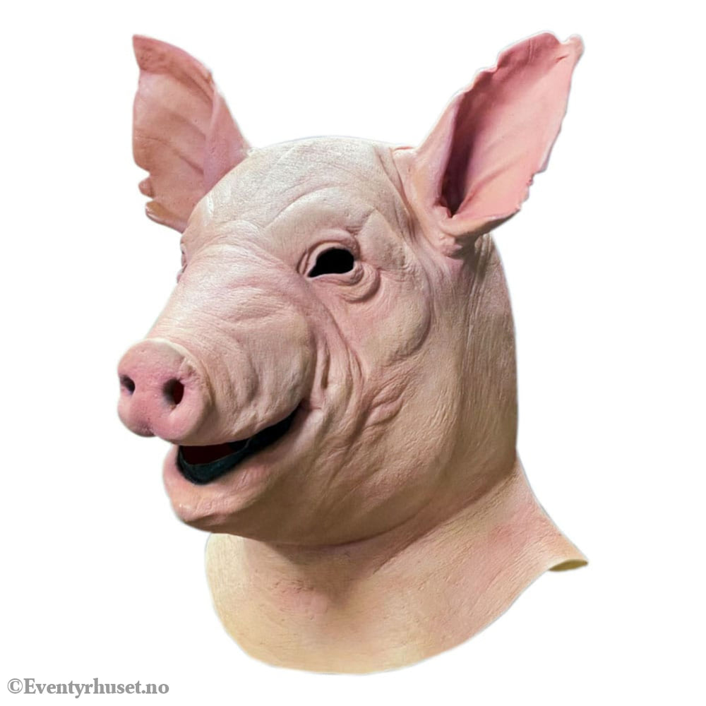 Spiral Mask Pig Fashion & Accessories