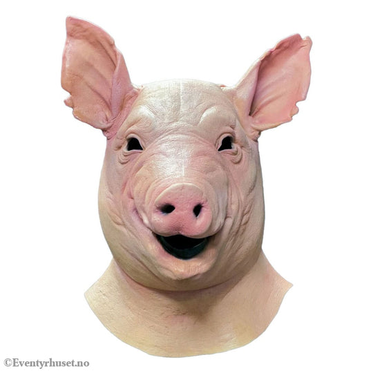 Spiral Mask Pig Fashion & Accessories