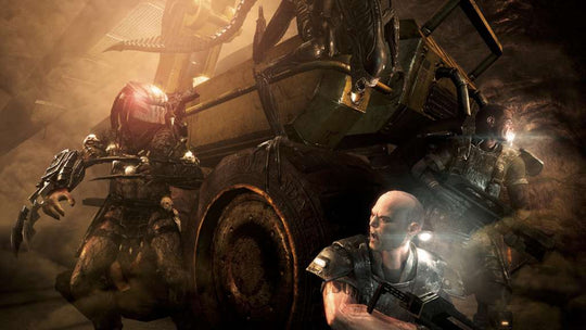 Aliens vs. Predator Collection EU Steam CD Key