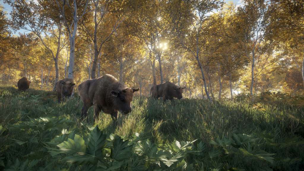 theHunter: Call of the Wild EU Steam CD Key