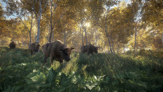 theHunter: Call of the Wild EU Steam CD Key