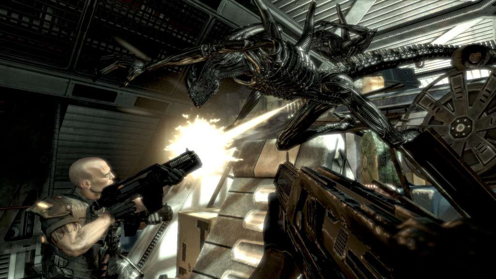Aliens vs. Predator Collection EU Steam CD Key