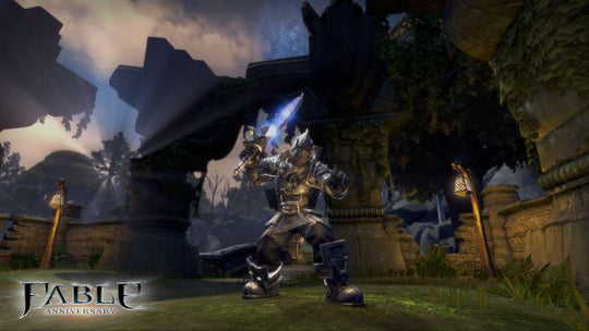 Fable Anniversary Steam CD Key