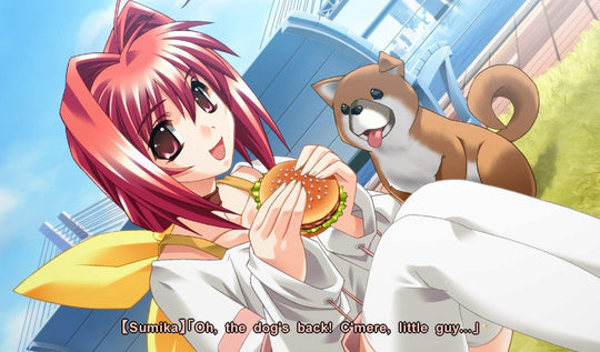 Muv-Luv Steam CD Key