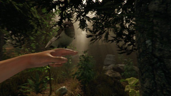 The Forest PC Steam CD Key