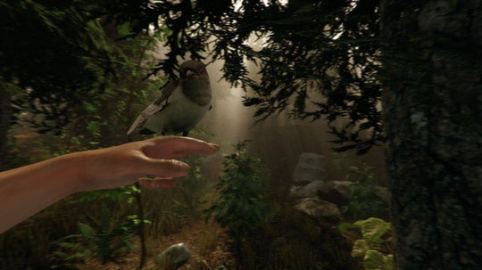 The Forest PC Steam CD Key