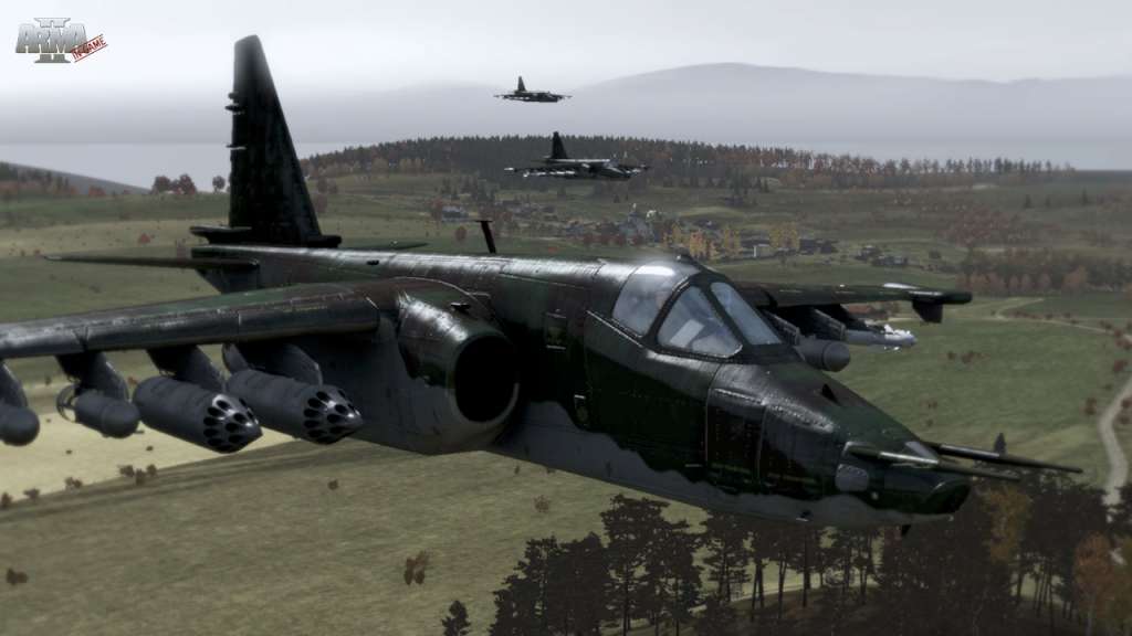 Arma X: Anniversary Edition Steam CD Key