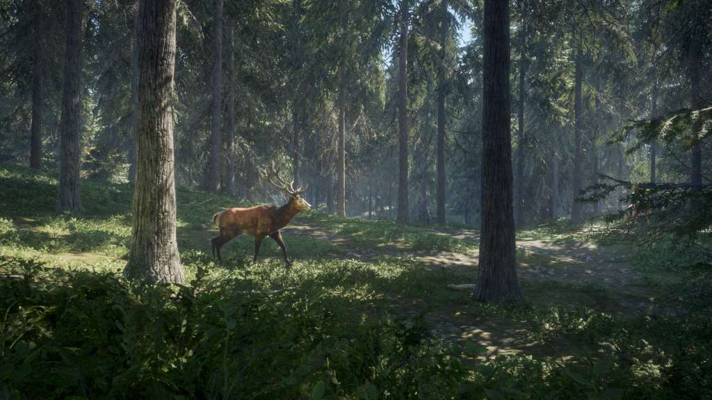 theHunter: Call of the Wild EU Steam CD Key