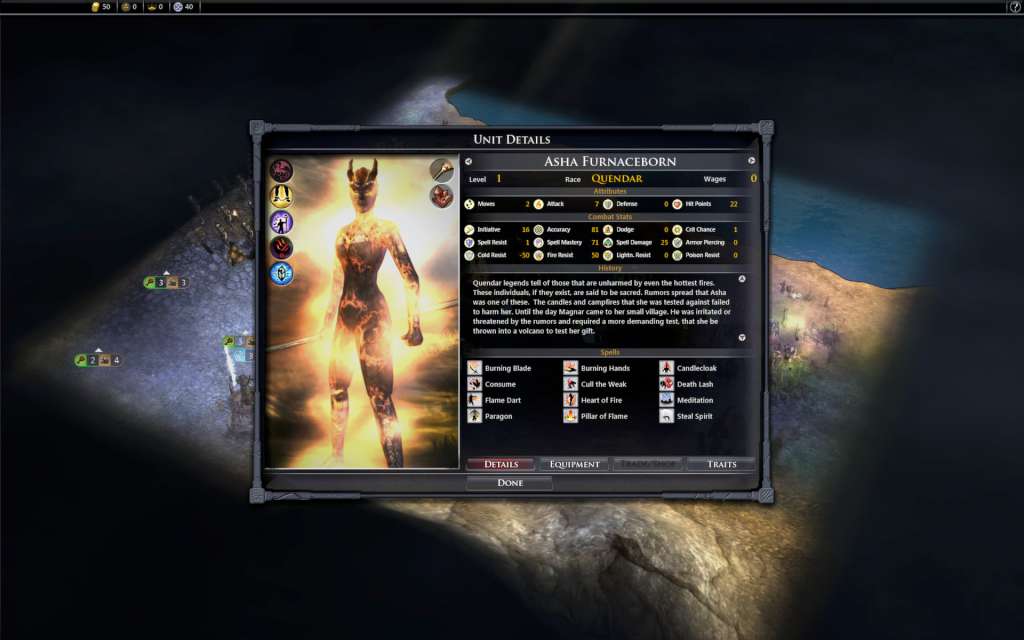 Fallen Enchantress: Legendary Heroes - Leader Pack DLC Steam CD Key