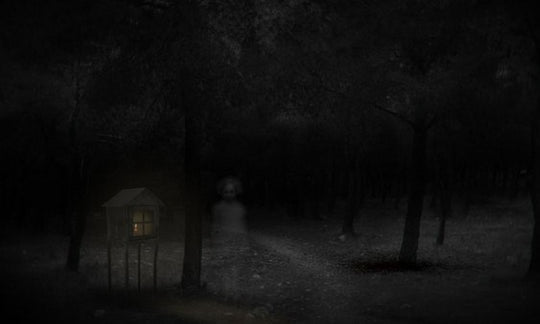 Real Horror Stories Ultimate Edition Steam CD Key