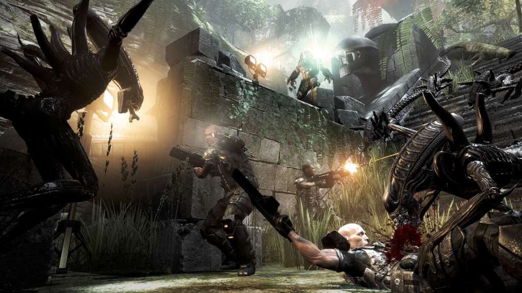 Aliens Vs. Predator Steam CD Key