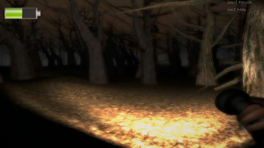 Nyctophobia Steam CD Key