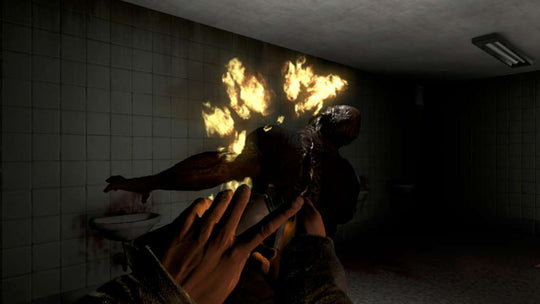 Alone in the Dark (2008) Steam CD Key