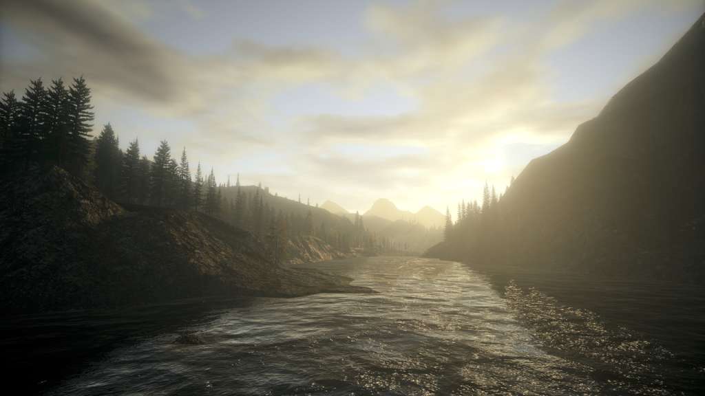 Alan Wake Collector's Edition PC Steam CD Key