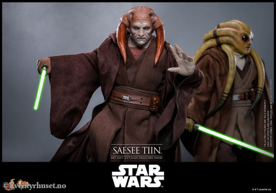 Star Wars: Episode III - Revenge of the Sith Movie Masterpiece Action Figure 1/6 Saesee Tiin 31 cm Toys