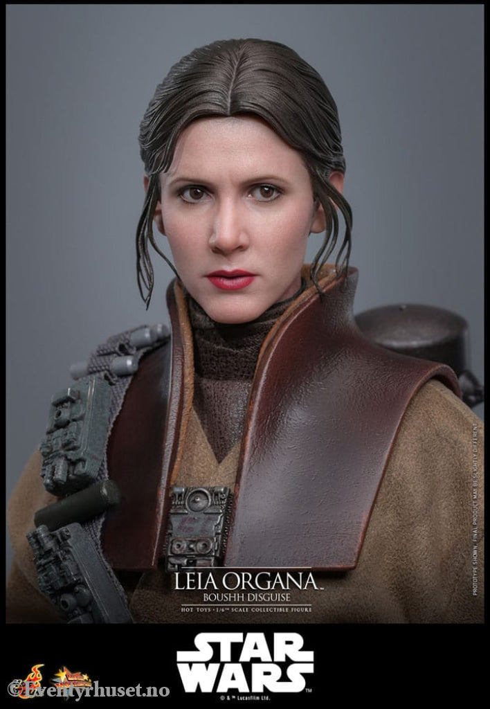 Star Wars Episode VI Movie Masterpiece Action Figure 1/6 Leia Organa (Boushh Disguise) 27 cm Toys