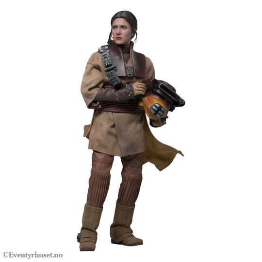 Star Wars Episode VI Movie Masterpiece Action Figure 1/6 Leia Organa (Boushh Disguise) 27 cm Toys