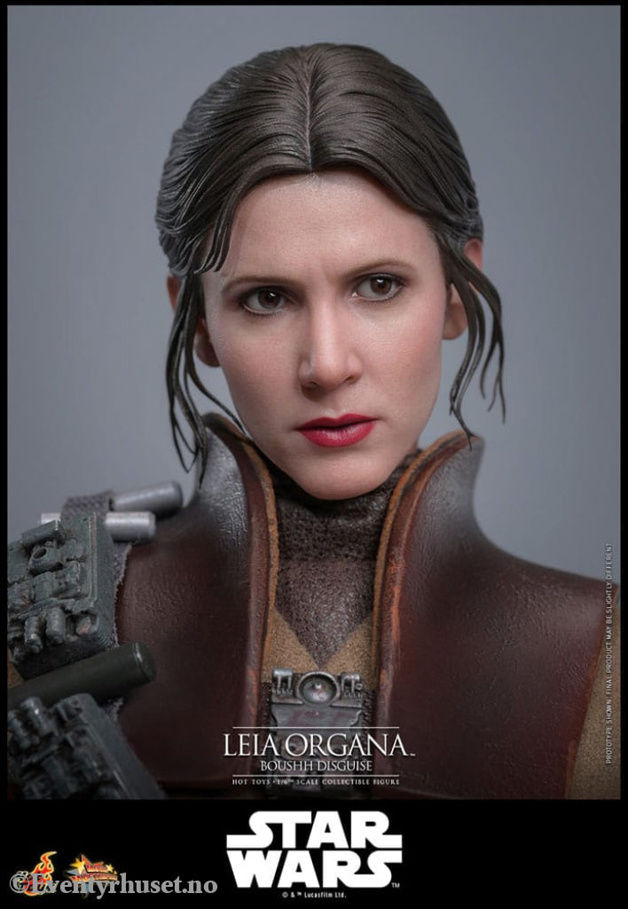 Star Wars Episode VI Movie Masterpiece Action Figure 1/6 Leia Organa (Boushh Disguise) 27 cm Toys