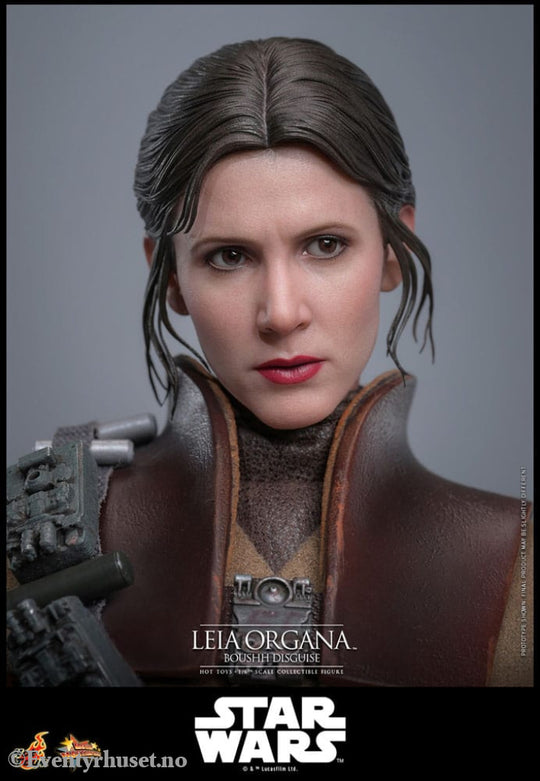 Star Wars Episode VI Movie Masterpiece Action Figure 1/6 Leia Organa (Boushh Disguise) 27 cm Toys