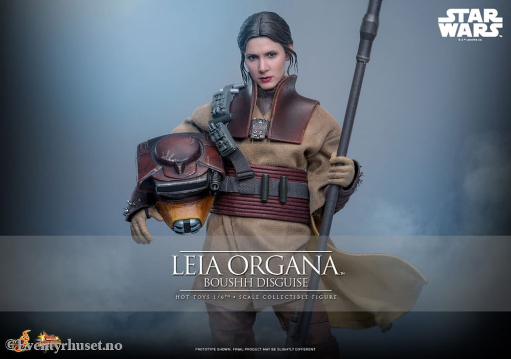 Star Wars Episode VI Movie Masterpiece Action Figure 1/6 Leia Organa (Boushh Disguise) 27 cm Toys