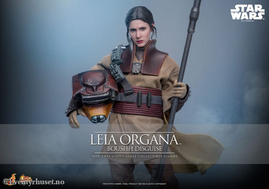 Star Wars Episode VI Movie Masterpiece Action Figure 1/6 Leia Organa (Boushh Disguise) 27 cm Toys