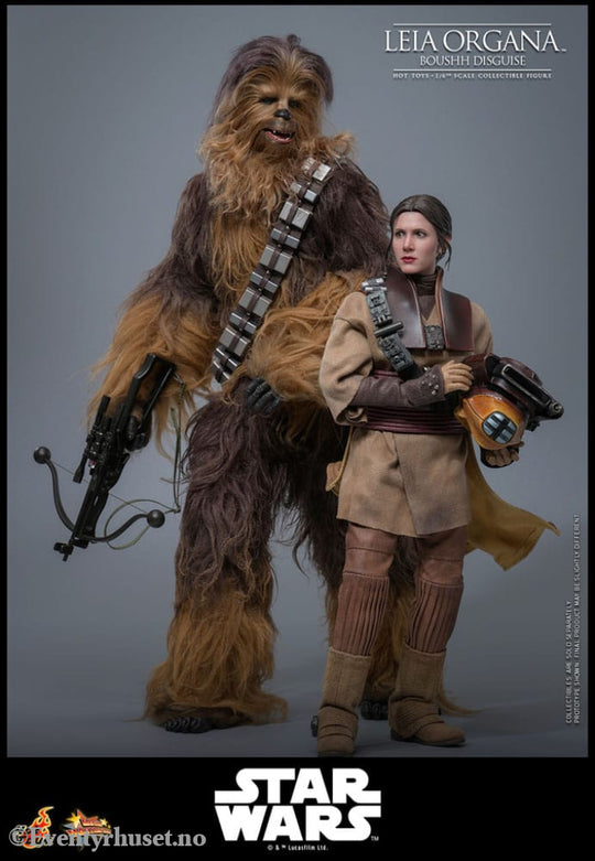 Star Wars Episode VI Movie Masterpiece Action Figure 1/6 Leia Organa (Boushh Disguise) 27 cm Toys